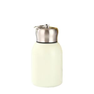 Mini Vacuum Insulated Bottle